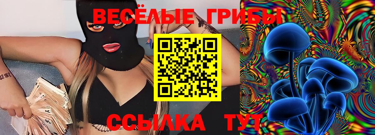 Псилоцибиновые грибы Psilocybe Азнакаево